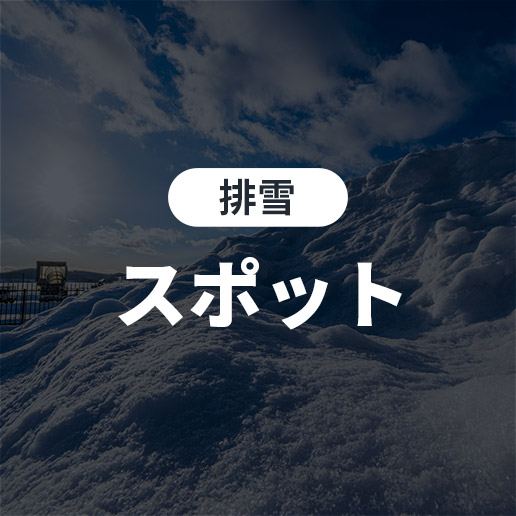 排雪 スポット契約