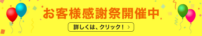 お客様感謝祭