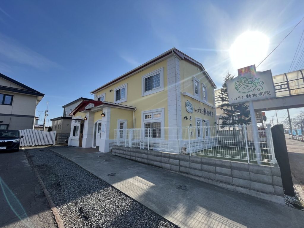 塗装が完成した一軒家の様子