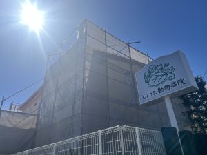 しょうた動物病院　塗装工事
