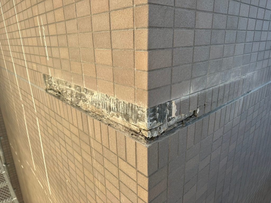 苫小牧市日吉町 エクセルステージ  タイル欠損箇所交換